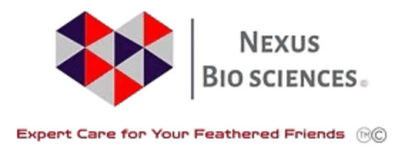 Nexus Bio Sciences Logo