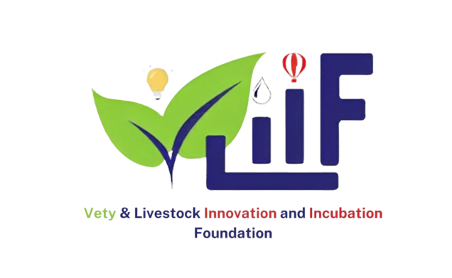 VLIIF Logo